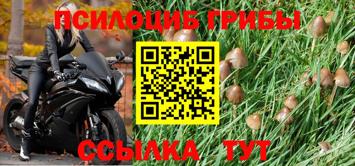 Озёрск  Галлюциногенные грибы Psilocybe  Галлюциногенные грибы Magic Shrooms  Вход с VPN 